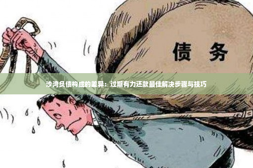 沙湾负债构成的差异：过期有力还款最佳解决步骤与技巧