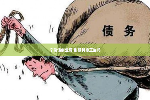 宁陕债创业哥:到期利率正当吗