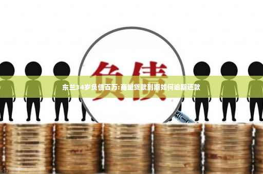 东兰34岁负债百万:商量贷款到期如何逾期还款