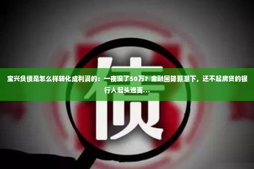 宝兴负债是怎么样转化成利润的：一夜没了50万？金融圈降薪潮下，还不起房贷的银行人起头逃离…