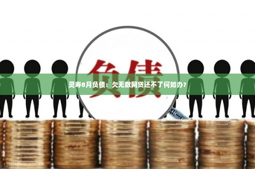 灵寿8月负债：欠无数网贷还不了何如办？