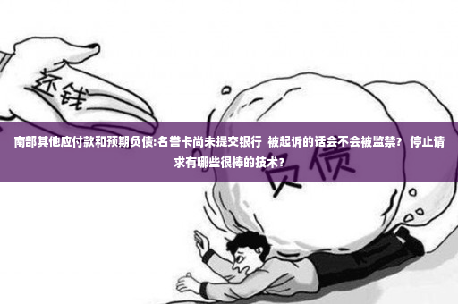 南部其他应付款和预期负债:名誉卡尚未提交银行  被起诉的话会不会被监禁？ 停止请求有哪些很棒的技术？