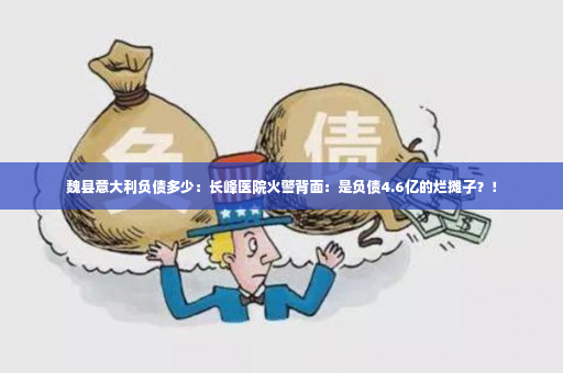 魏县意大利负债多少：长峰医院火警背面：是负债4.6亿的烂摊子？！