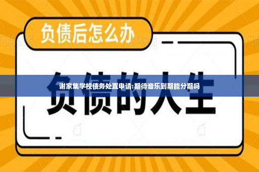 谢家集学校债务处置申请:期待音乐到期能分期吗