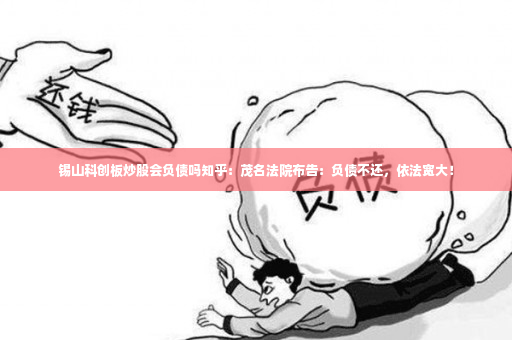 锡山科创板炒股会负债吗知乎：茂名法院布告：负债不还，依法宽大！