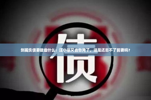 剑阁负债要做些什么：汪小菲又去台湾了，这是还忘不了前妻吗？