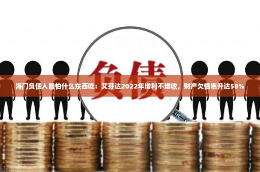 海门负债人最怕什么东西吃：艾芬达2022年增利不增收，财产欠债率升达58%