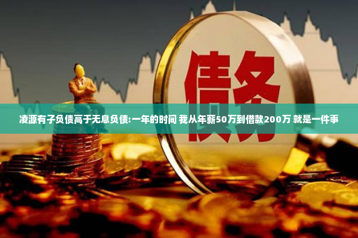 凌源有子负债高于无息负债:一年的时间 我从年薪50万到借款200万 就是一件事