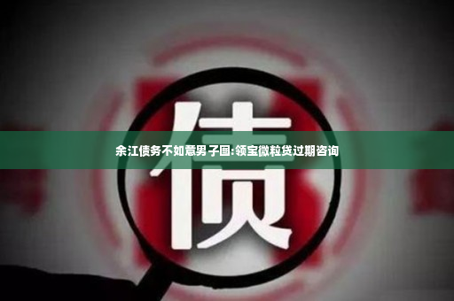 余江债务不如意男子图:领宝微粒贷过期咨询