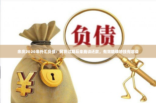 余庆2020年外汇负债：网贷过期后来商谈还款，有效精确妙技有哪些