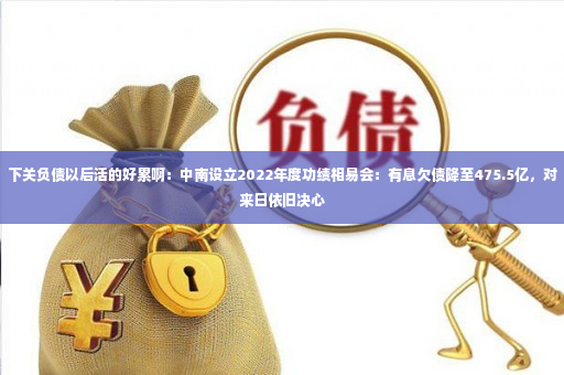 下关负债以后活的好累啊：中南设立2022年度功绩相易会：有息欠债降至475.5亿，对来日依旧决心