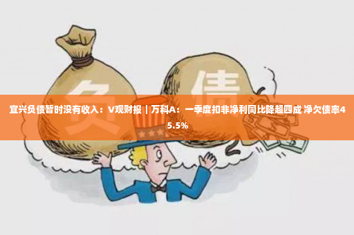 宜兴负债暂时没有收入：V观财报｜万科A：一季度扣非净利同比降超四成 净欠债率45.5%