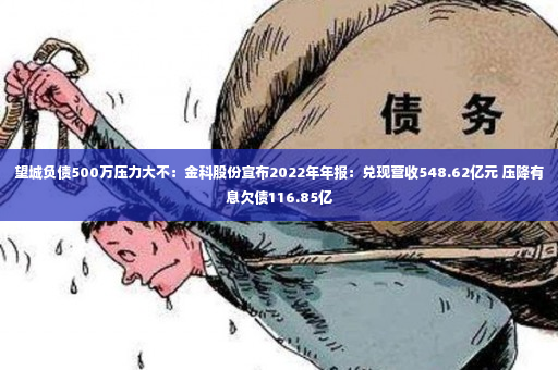 望城负债500万压力大不：金科股份宣布2022年年报：兑现营收548.62亿元 压降有息欠债116.85亿