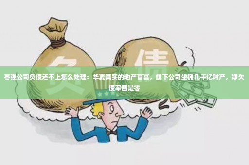 枣强公司负债还不上怎么处理：华夏真实的地产首富，旗下公司坐拥几千亿财产，净欠债率倒是零