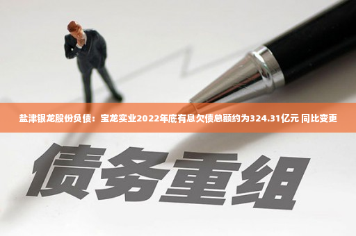 盐津银龙股份负债：宝龙实业2022年底有息欠债总额约为324.31亿元 同比变更