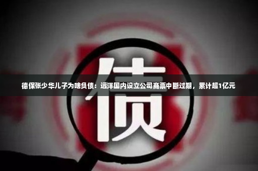 德保张少华儿子为啥负债：远洋国内设立公司商票中断过期，累计超1亿元