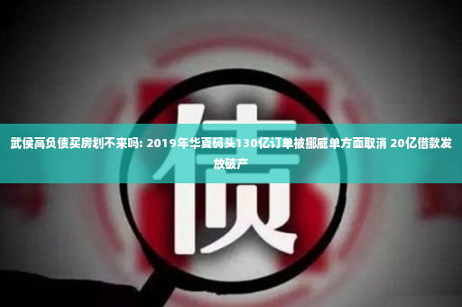 武侯高负债买房划不来吗: 2019年华夏码头130亿订单被挪威单方面取消 20亿借款发放破产