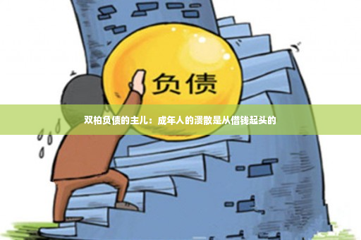 双柏负债的主儿：成年人的溃散是从借钱起头的