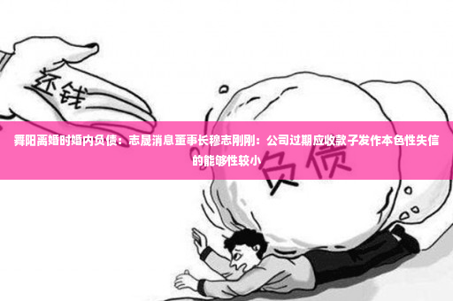 舞阳离婚时婚内负债：志晟消息董事长穆志刚刚：公司过期应收款子发作本色性失信的能够性较小