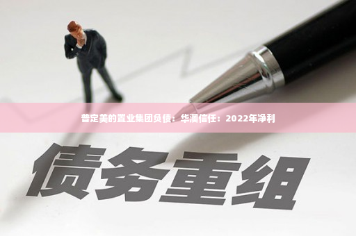 普定美的置业集团负债：华澳信任：2022年净利