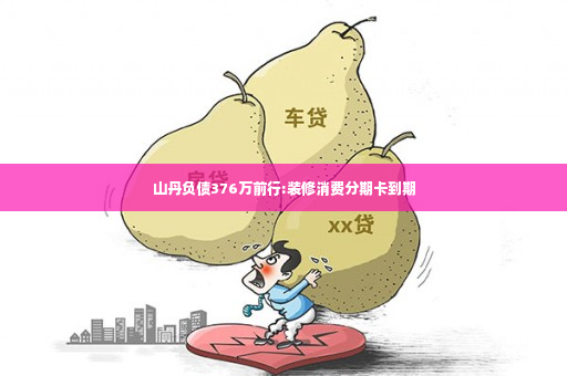 山丹负债376万前行:装修消费分期卡到期