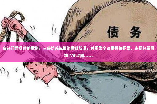 宿迁租赁负债的案例：三盛培养年报陷质疑旋涡：独董整个议案投抗拒票、违规包管叠加告贷过期……