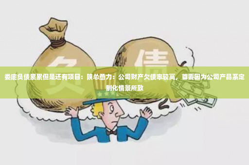 娄底负债累累但是还有项目：陕怂恿力：公司财产欠债率较高，首要因为公司产品系定制化情景所致