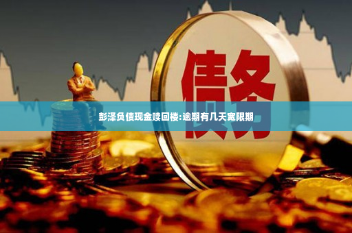 彭泽负债现金赎回楼:逾期有几天宽限期