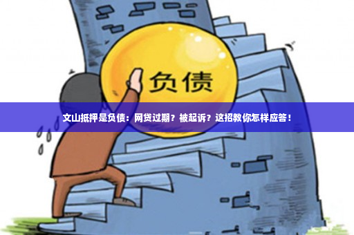 文山抵押是负债：网贷过期？被起诉？这招教你怎样应答！