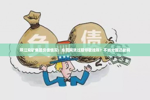 双江兖矿集团负债情况：东莞网贷过期停歇挂账？不妨分期还款吗