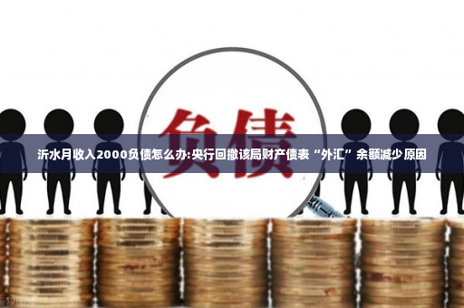 沂水月收入2000负债怎么办:央行回撤该局财产债表“外汇”余额减少原因