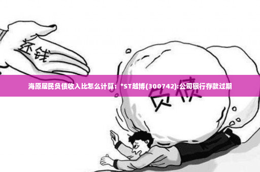 海原居民负债收入比怎么计算：*ST越博(300742):公司银行存款过期