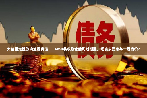 大柴旦定性政府违规负债：Temu将收取仓储和过期费，还哀求卖家每一周竞价？