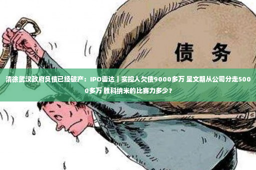 清徐武汉政府负债已经破产：IPO雷达｜实控人欠债9000多万 呈文期从公司分走5000多万 胜科纳米的比赛力多少？