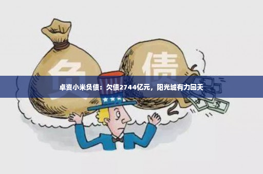 卓资小米负债：欠债2744亿元，阳光城有力回天