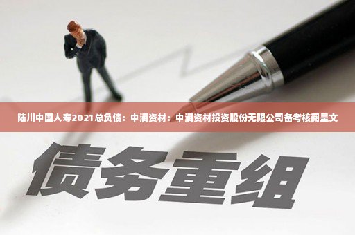 陆川中国人寿2021总负债：中润资材：中润资材投资股份无限公司备考核阅呈文