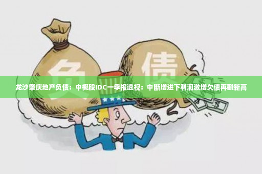 龙沙肇庆地产负债：中概股IDC一季报透视：中断增进下利润激增欠债再翻新高