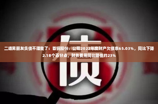 二道男朋友负债不理我了：首钢股份：公司2022年度财产欠债率65.03%，同比下降2.18个百分点，财务费用同比降低约23%