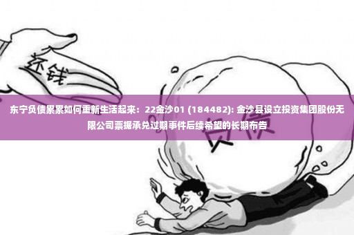 东宁负债累累如何重新生活起来：22金沙01 (184482): 金沙县设立投资集团股份无限公司票据承兑过期事件后续希望的长期布告