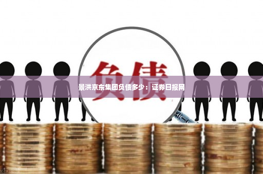 景洪京东集团负债多少：证券日报网