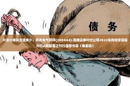 兴安小金哥负债多少：双杰电气呼呼(300444):西南证券对付公司2022年向特定目标刊行A股股票之刊行保荐书籍（备案稿）