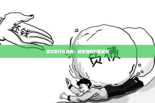 首次发行负债券：融资维新的新篇章