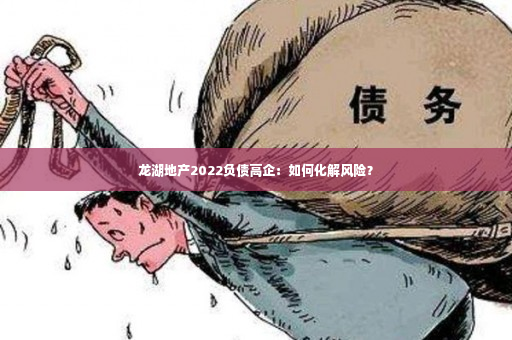 龙湖地产2022负债高企：如何化解风险？