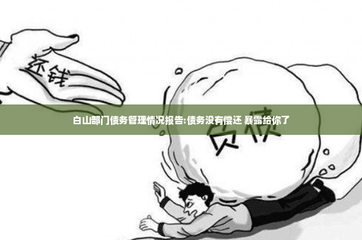 白山部门债务管理情况报告:债务没有偿还 暴露给你了