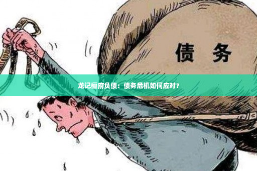 龙记檀府负债：债务危机如何应对？