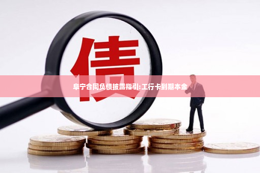 阜宁合同负债披露指引:工行卡到期本金