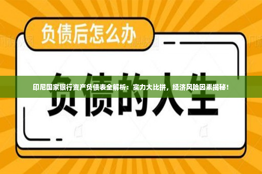 印尼国家银行资产负债表全解析：实力大比拼，经济风险因素揭秘！