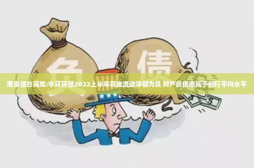 鹿泉债台高筑:中环环慧2022上半年现金流动净额为负 财产负债率高于偕行平均水平