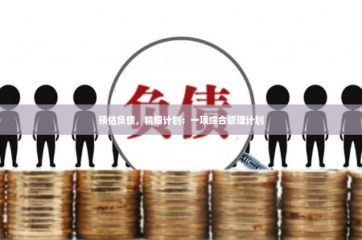 预估负债，精细计划：一项综合管理计划