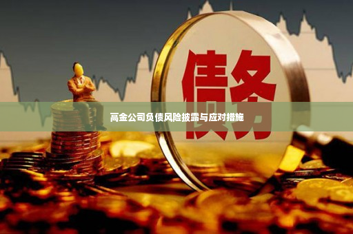 高金公司负债风险披露与应对措施